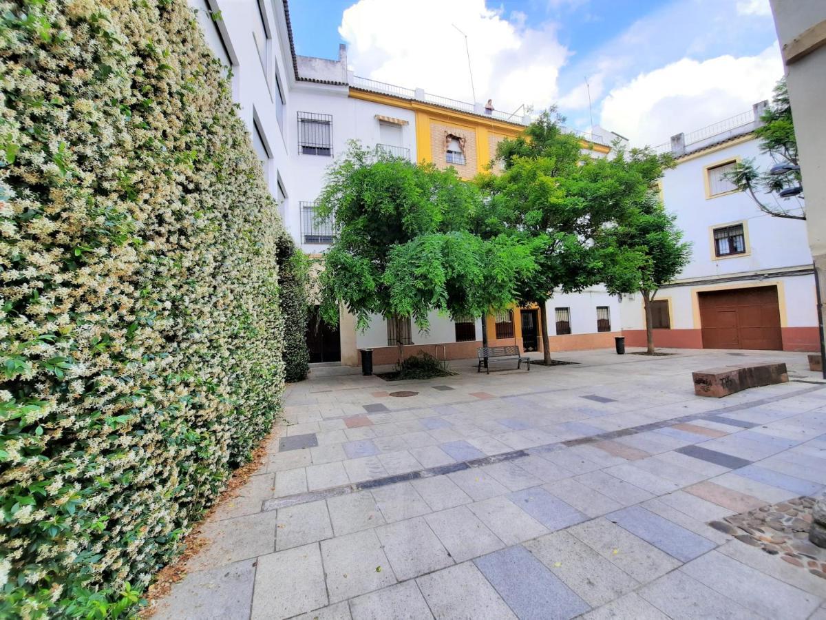 San Pedro Parking Gratis Coche Mediano Lejlighed Córdoba Eksteriør billede